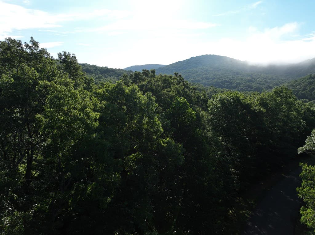 206 Northview Parkway, Ellijay GA 30536 - Photo