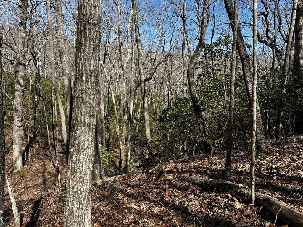 206 Northview Parkway, Ellijay GA 30536 - Photo