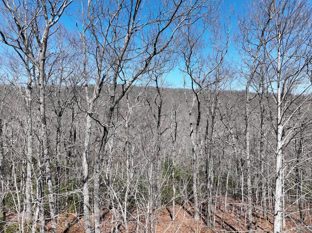 206 Northview Parkway, Ellijay GA 30536 - Photo