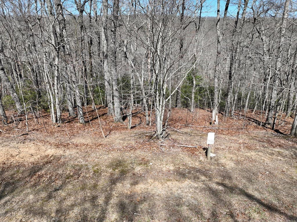 206 Northview Parkway, Ellijay GA 30536 - Photo
