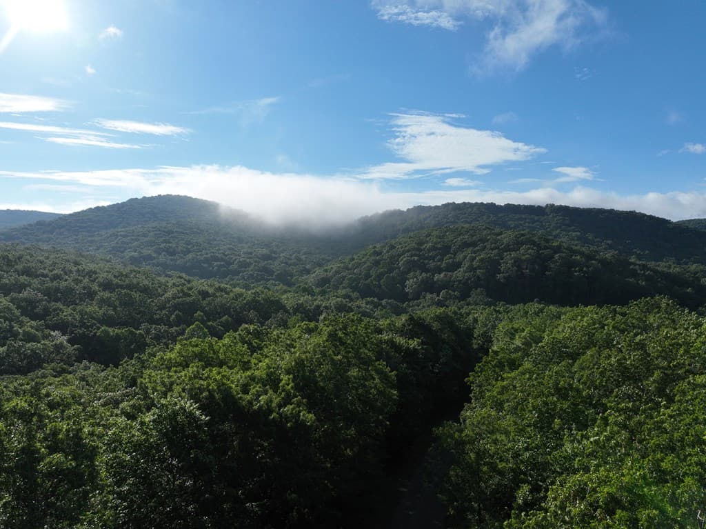 206 Northview Parkway, Ellijay GA 30536 - Photo