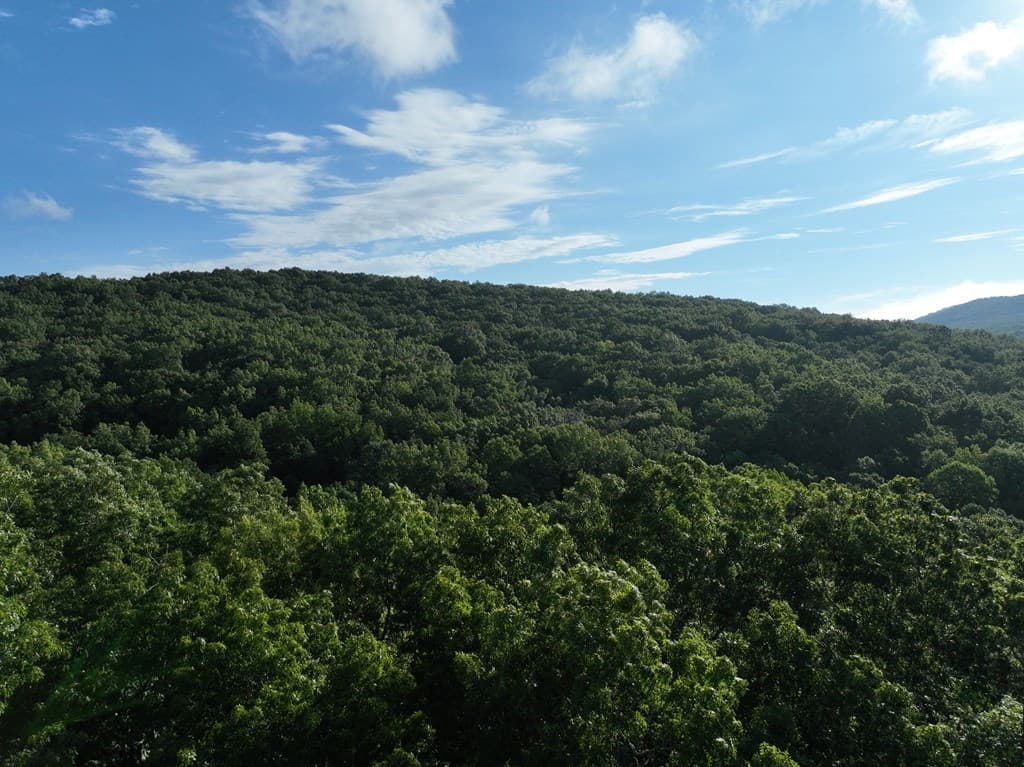 206 Northview Parkway, Ellijay GA 30536 - Photo
