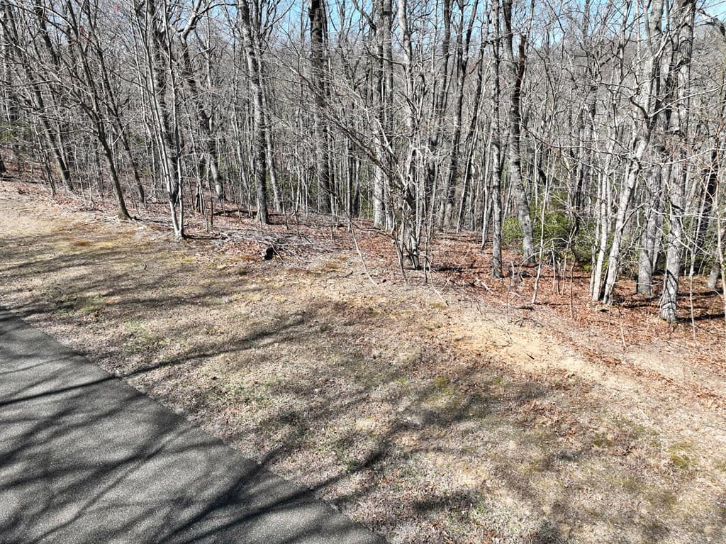 206 Northview Parkway, Ellijay GA 30536 - Photo