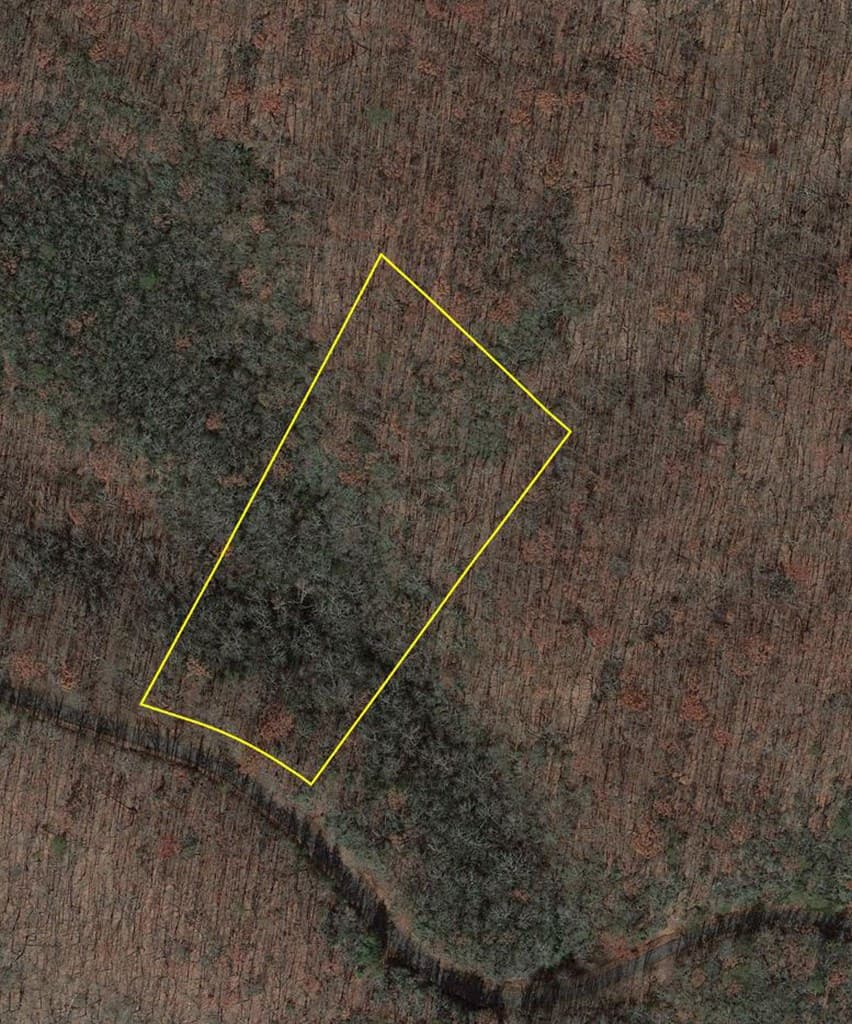 206 Northview Parkway, Ellijay GA 30536 - Photo