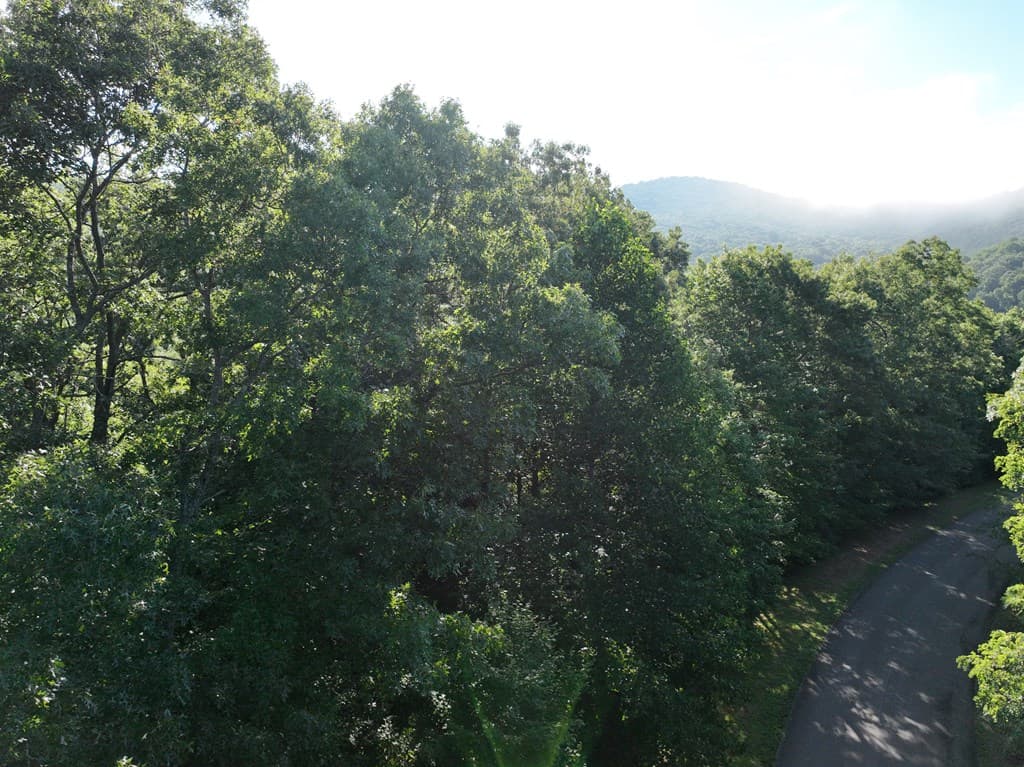 206 Northview Parkway, Ellijay GA 30536 - Photo