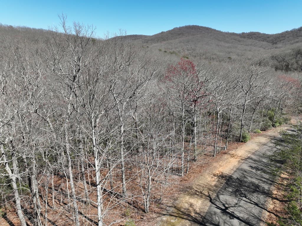206 Northview Parkway, Ellijay GA 30536 - Photo