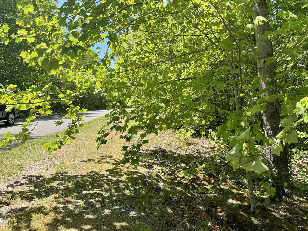 206 Northview Parkway, Ellijay GA 30536 - Photo