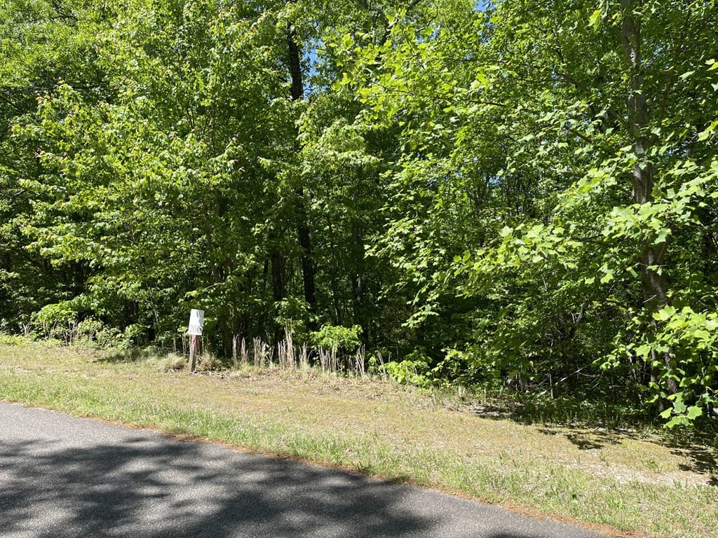 206 Northview Parkway, Ellijay GA 30536 - Photo