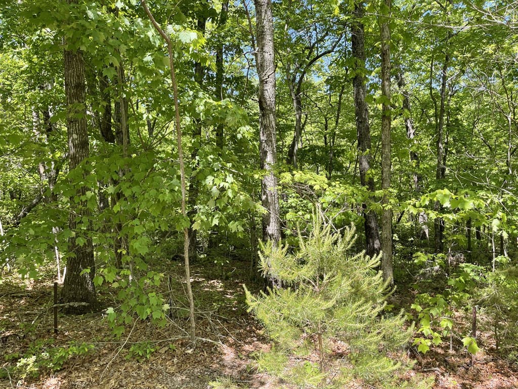 206 Northview Parkway, Ellijay GA 30536 - Photo
