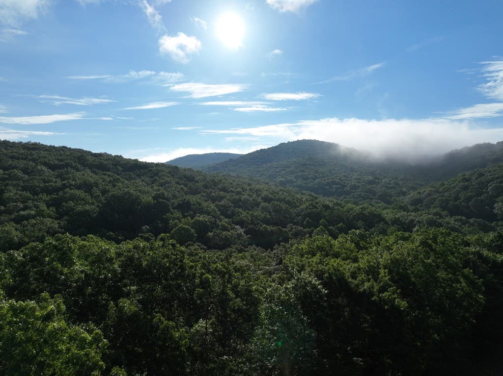 206 Northview Parkway, Ellijay GA 30536 - Photo