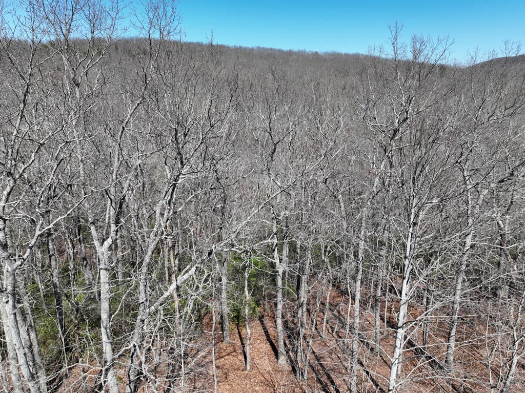 206 Northview Parkway, Ellijay GA 30536 - Photo