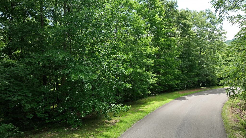 206 Northview Parkway, Ellijay GA 30536 - Photo