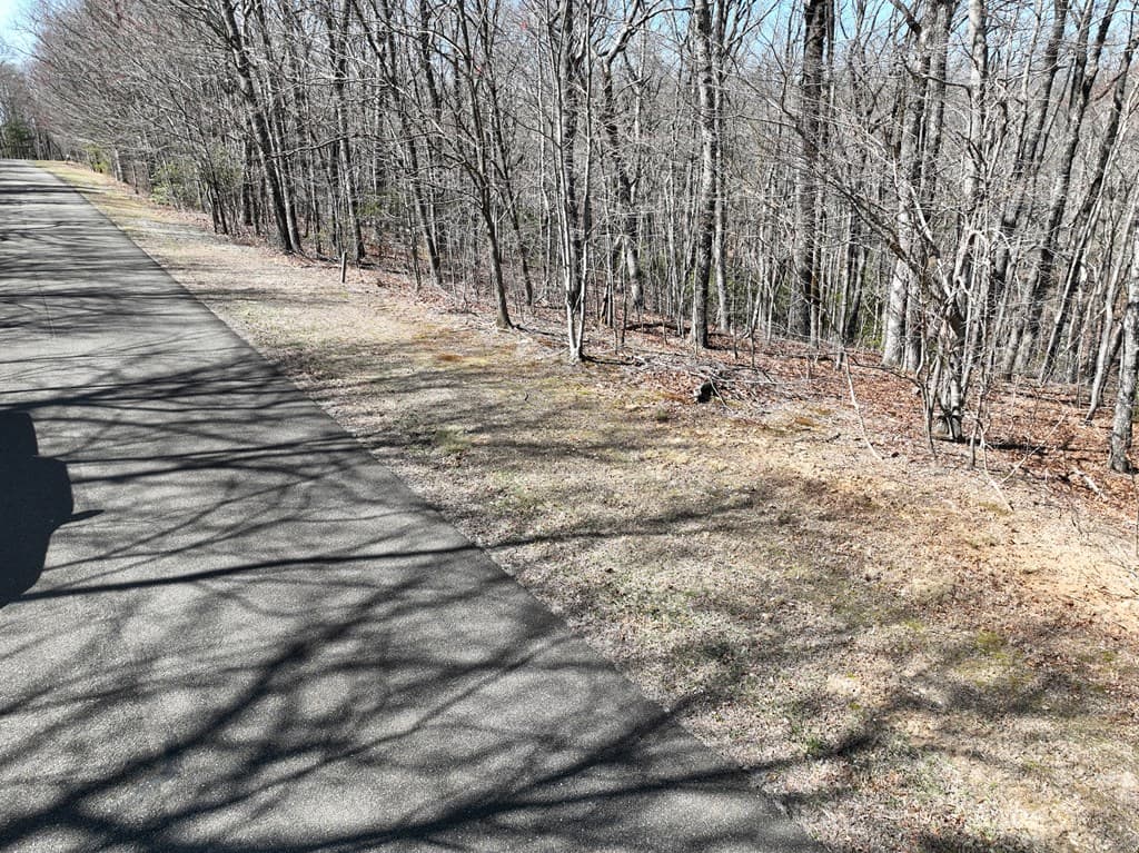 206 Northview Parkway, Ellijay GA 30536 - Photo