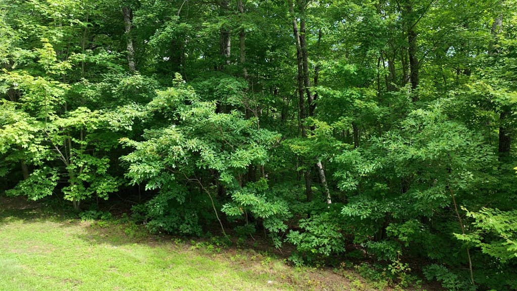 206 Northview Parkway, Ellijay GA 30536 - Photo