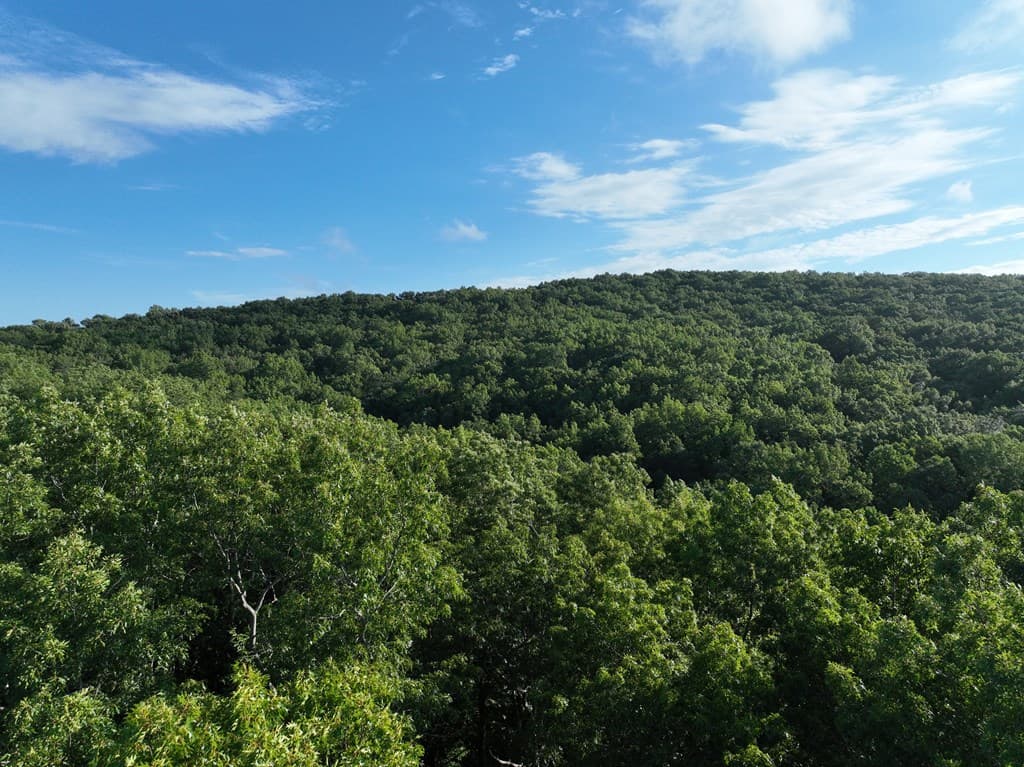 206 Northview Parkway, Ellijay GA 30536 - Photo