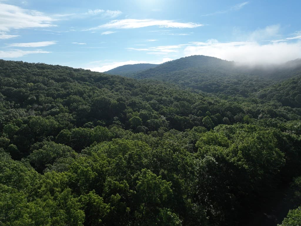 206 Northview Parkway, Ellijay GA 30536 - Photo
