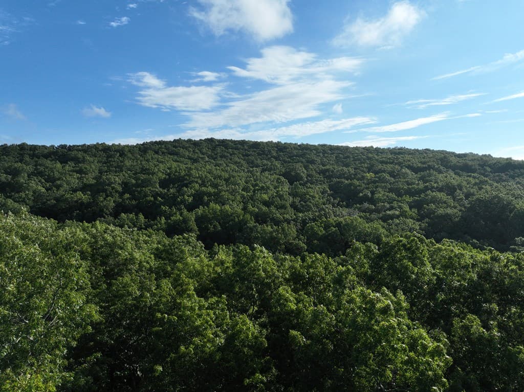 206 Northview Parkway, Ellijay GA 30536 - Photo
