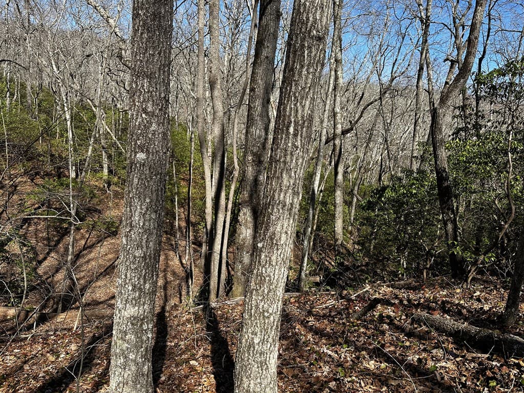206 Northview Parkway, Ellijay GA 30536 - Photo