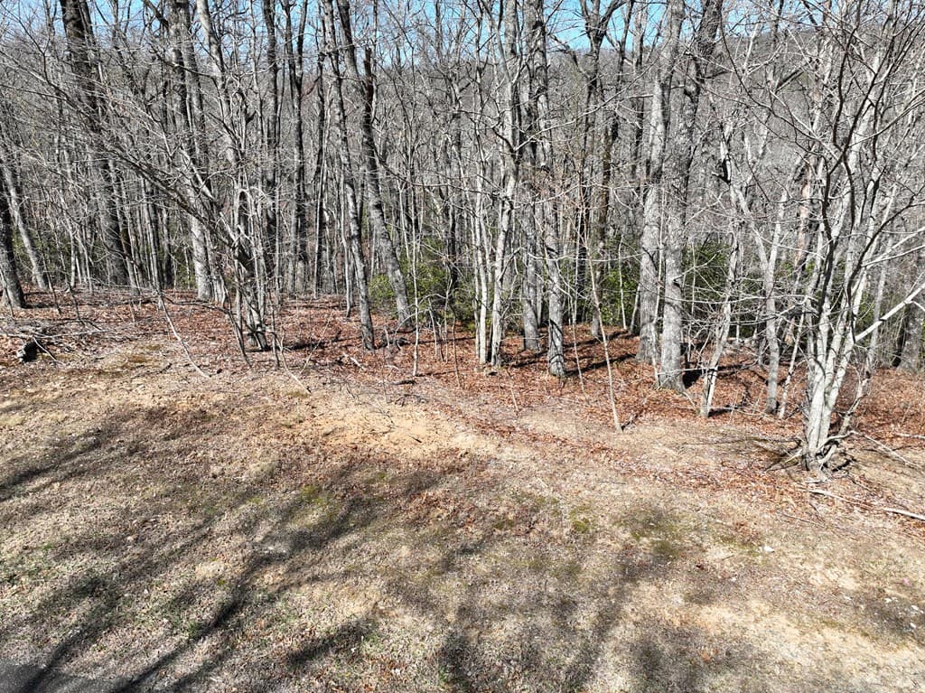 206 Northview Parkway, Ellijay GA 30536 - Photo