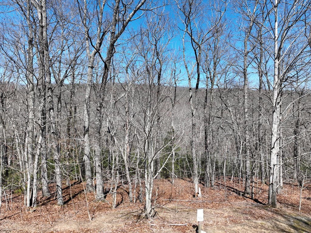 206 Northview Parkway, Ellijay GA 30536 - Photo