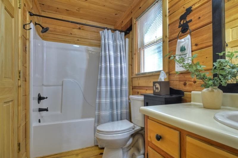 9 Joanna Court, Cherry Log GA 30522 - Photo