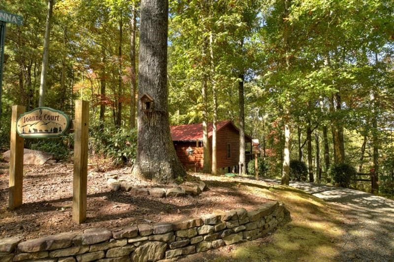 9 Joanna Court, Cherry Log GA 30522 - Photo