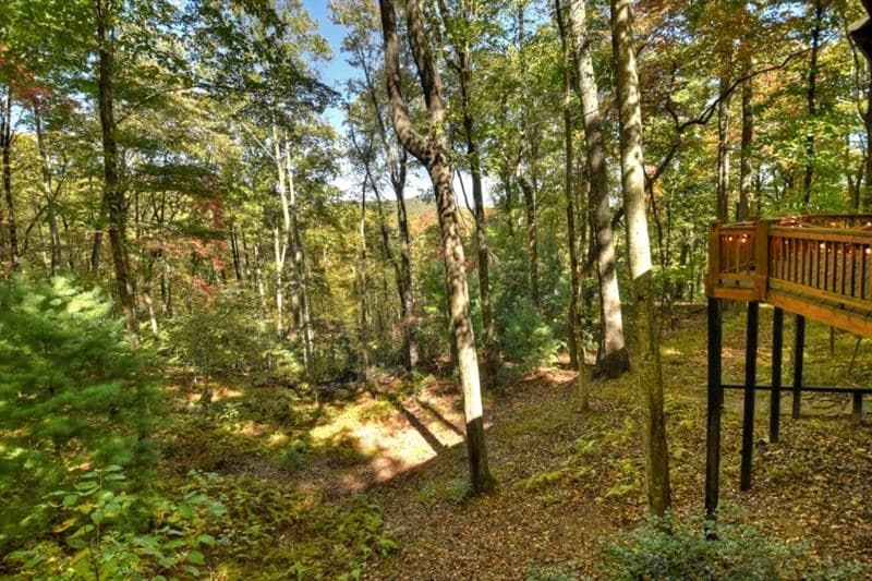 9 Joanna Court, Cherry Log GA 30522 - Photo