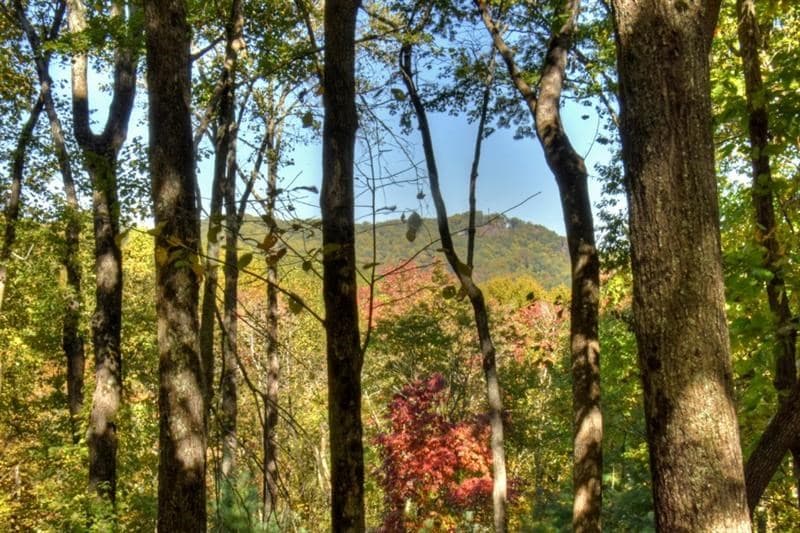 9 Joanna Court, Cherry Log GA 30522 - Photo