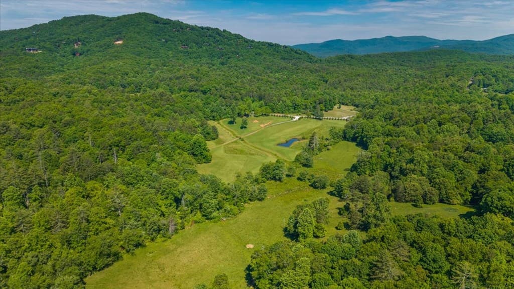 5260 Hardscrabble Road, Mineral Bluff GA 30559 - Photo
