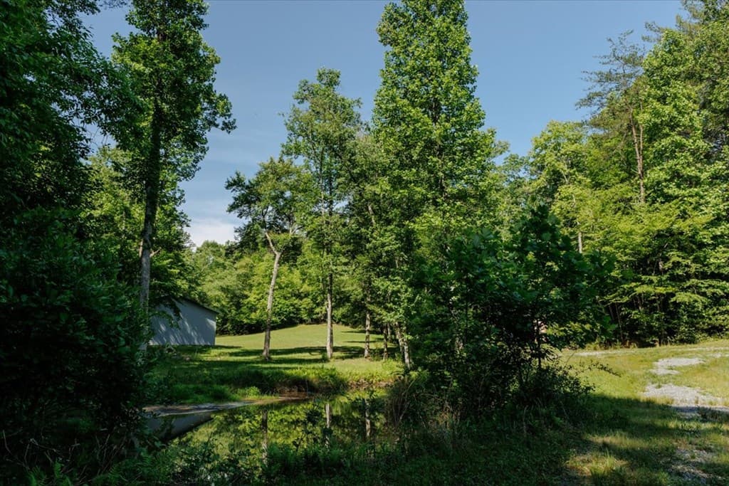 5260 Hardscrabble Road, Mineral Bluff GA 30559 - Photo