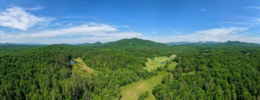 5260 Hardscrabble Road, Mineral Bluff GA 30559 - Photo