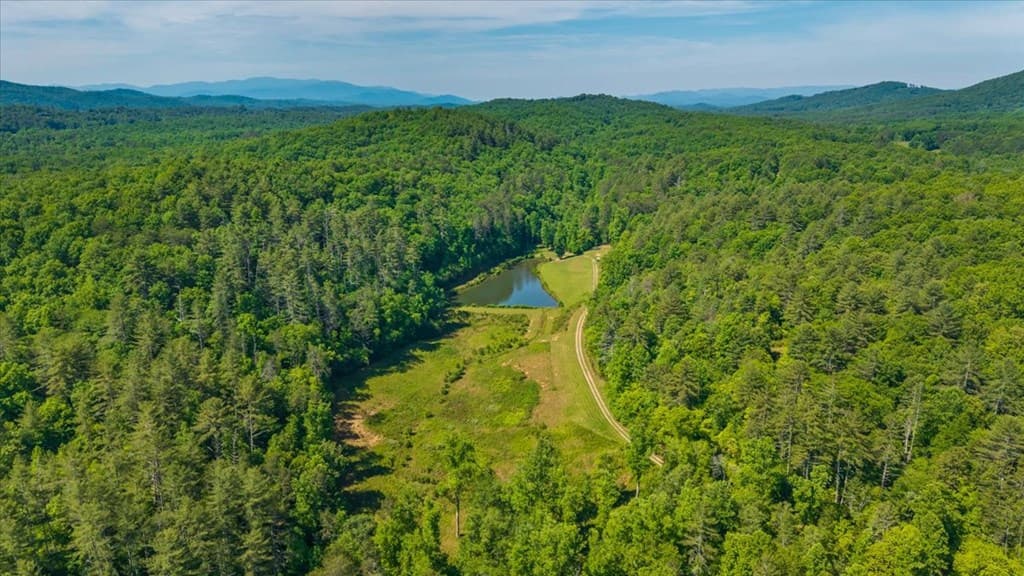5260 Hardscrabble Road, Mineral Bluff GA 30559 - Photo
