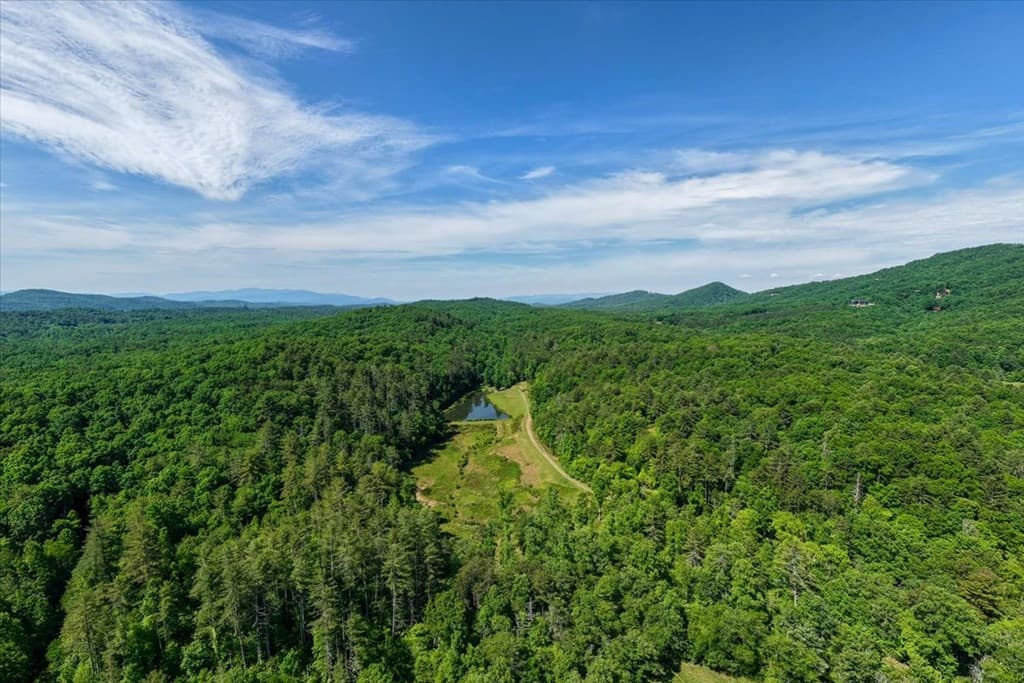 5260 Hardscrabble Road, Mineral Bluff GA 30559 - Photo