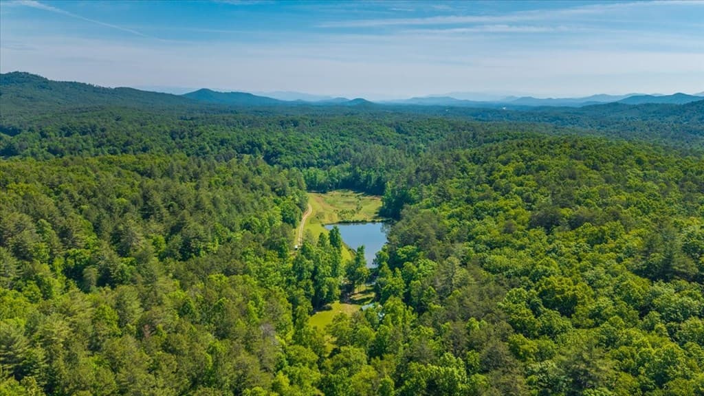 5260 Hardscrabble Road, Mineral Bluff GA 30559 - Photo