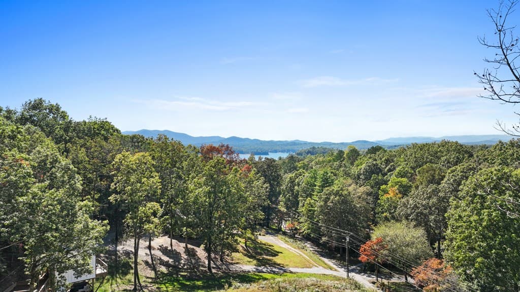 193 Garren Cove Road, Morganton GA 30560 - Photo