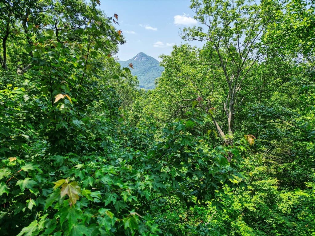 2529 Hunter Road, Hiawassee GA 30546 - Photo