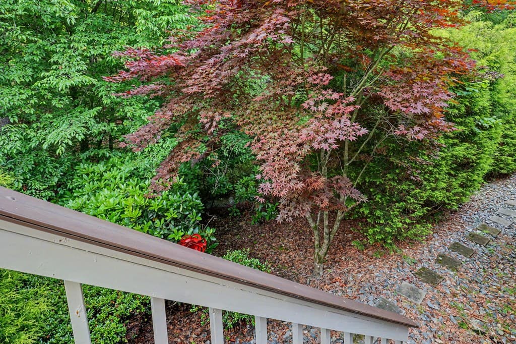 103 Birdie Lane Apt. 3-B, Blairsville GA 30512 - Photo
