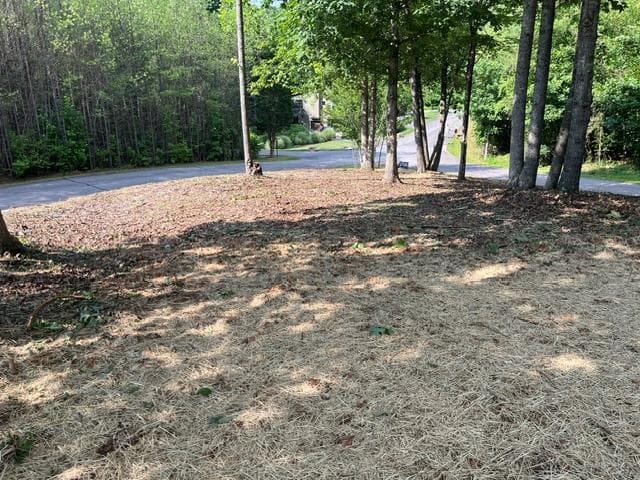 42 Robins Nest Way, Young Harris GA 30582 - Photo