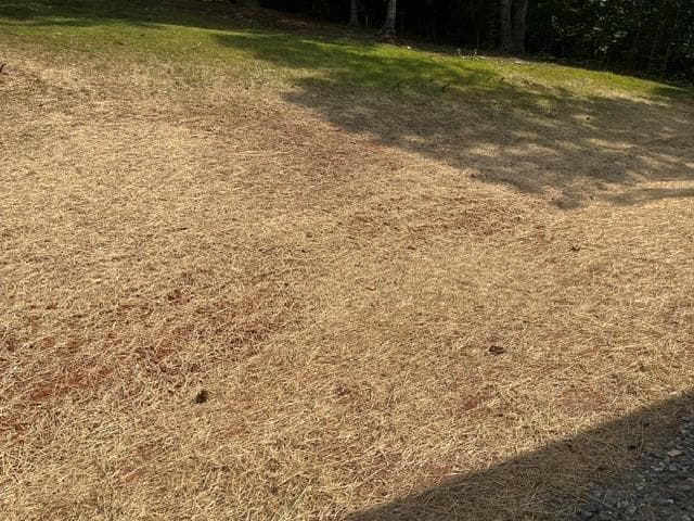 42 Robins Nest Way, Young Harris GA 30582 - Photo