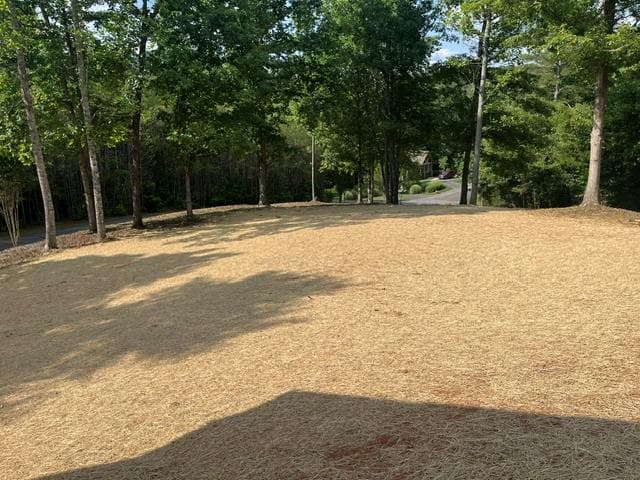 42 Robins Nest Way, Young Harris GA 30582 - Photo