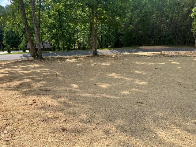 42 Robins Nest Way, Young Harris GA 30582 - Photo