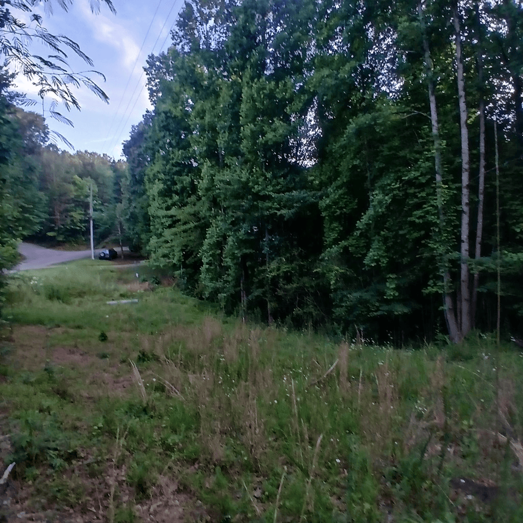 Tr. 2 Raven Cliff Road, Talking Rock GA 30175 - Photo