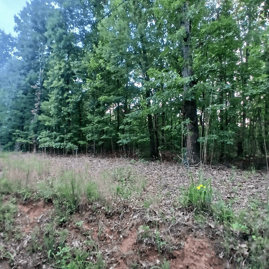 Tr. 2 Raven Cliff Road, Talking Rock GA 30175 - Primary photo