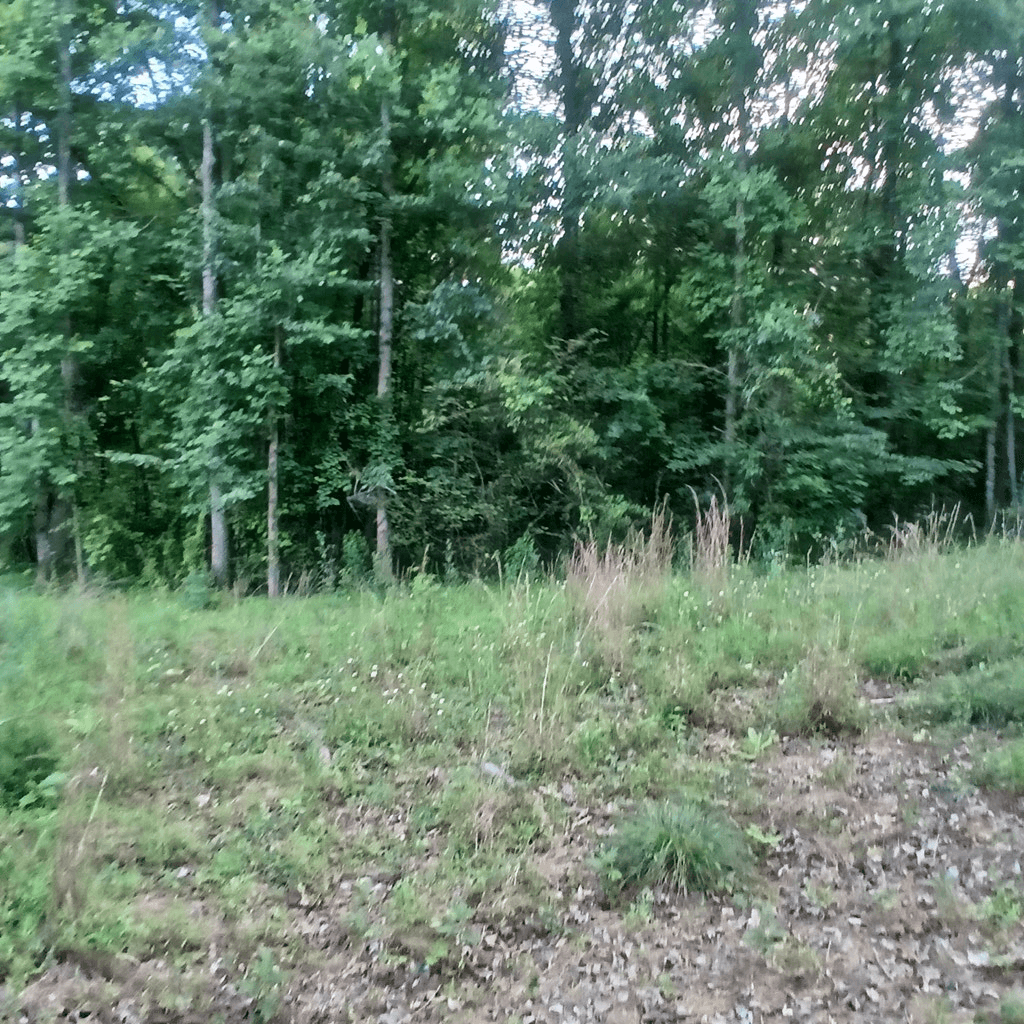 Tr. 2 Raven Cliff Road, Talking Rock GA 30175 - Photo