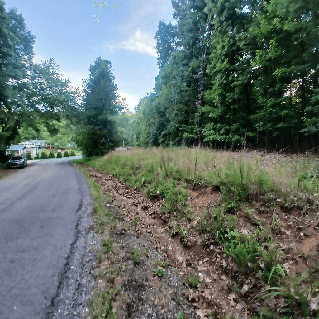 Tr. 2 Raven Cliff Road, Talking Rock GA 30175 - Photo