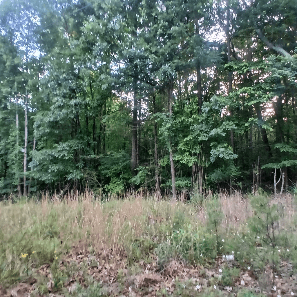 Tr. 2 Raven Cliff Road, Talking Rock GA 30175 - Photo