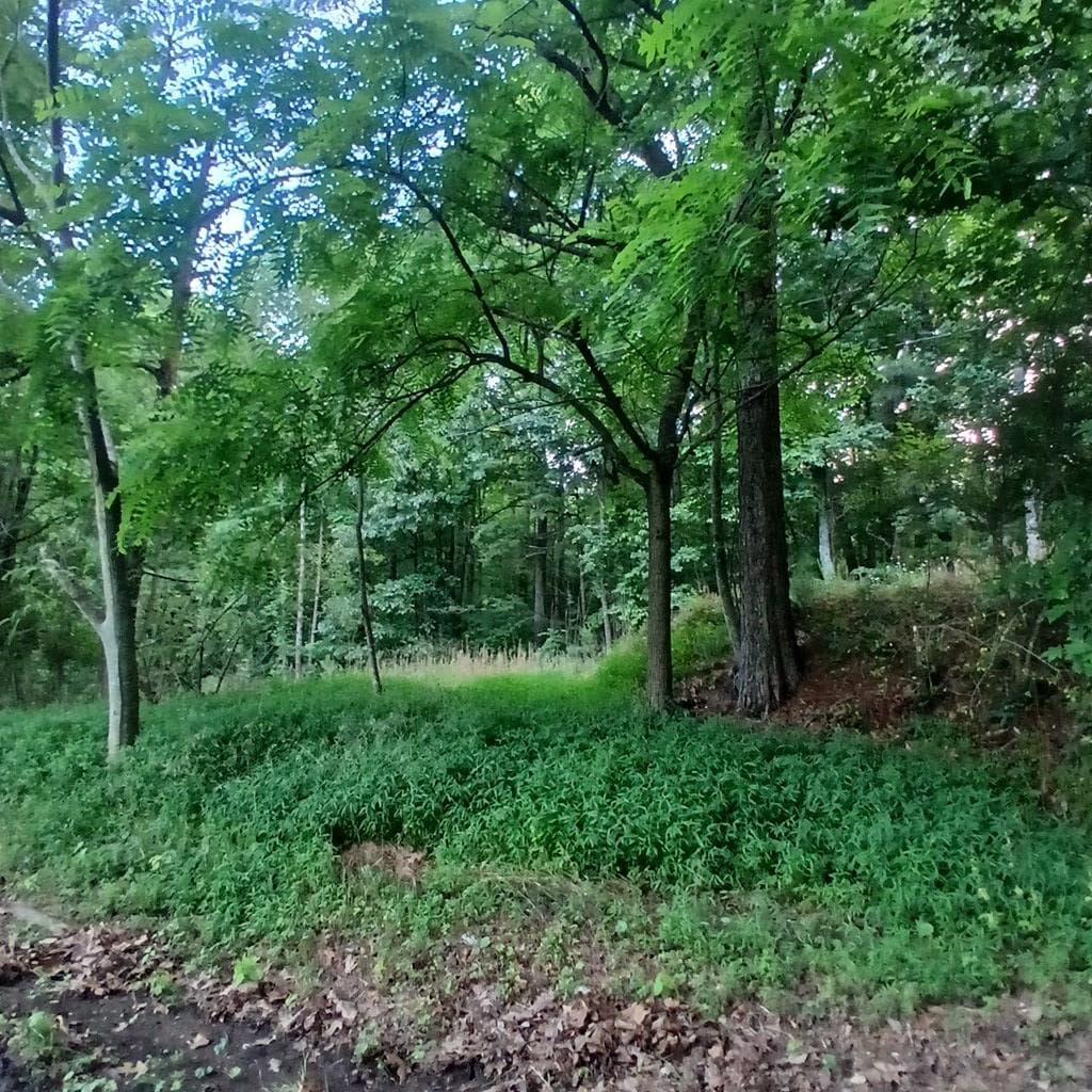 Tr'3 Raven Cliff Road, Talking Rock GA 30175 - Photo