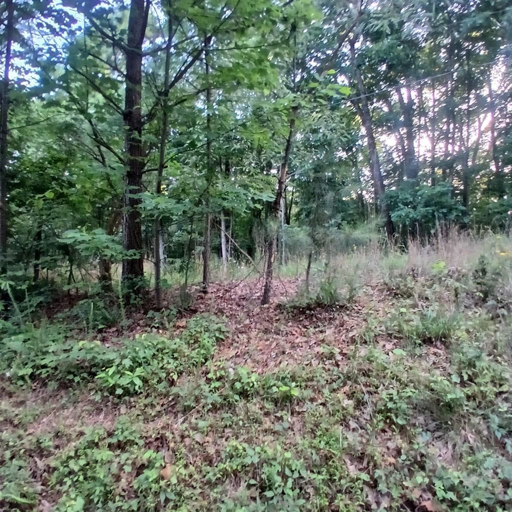 Tr'3 Raven Cliff Road, Talking Rock GA 30175 - Photo