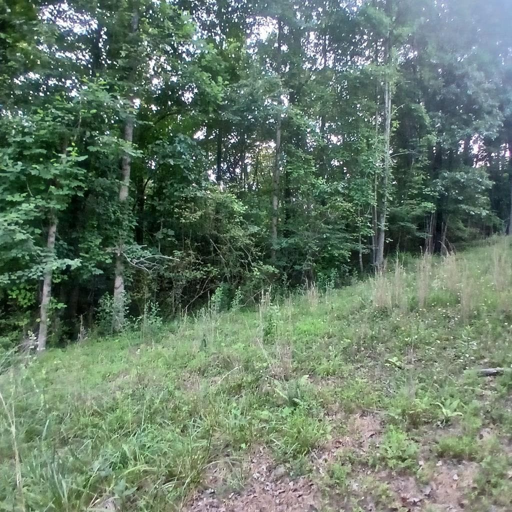 Tr'3 Raven Cliff Road, Talking Rock GA 30175 - Photo