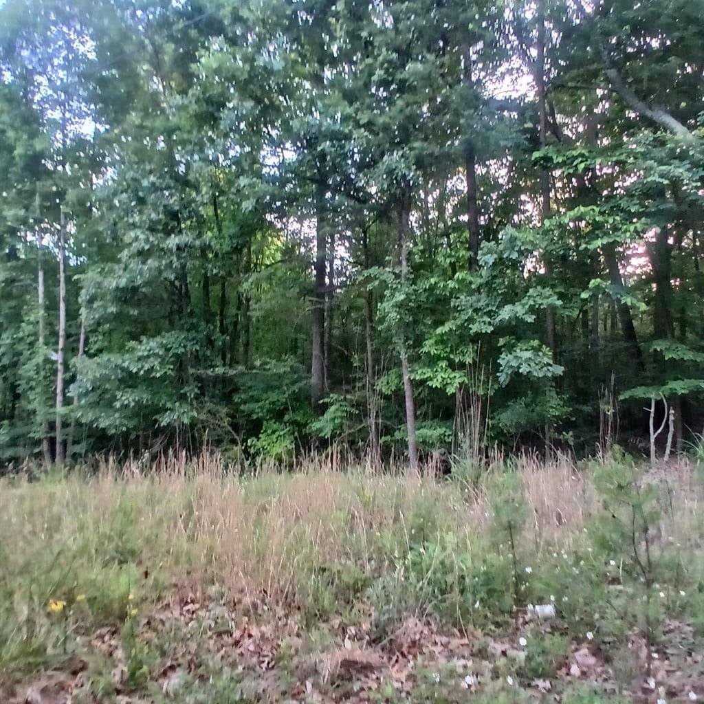 Tr'3 Raven Cliff Road, Talking Rock GA 30175 - Photo
